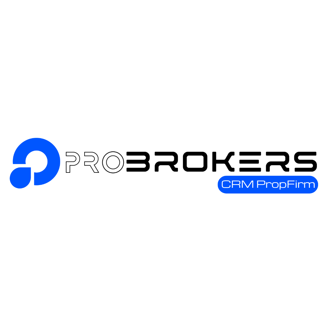 Partner 6