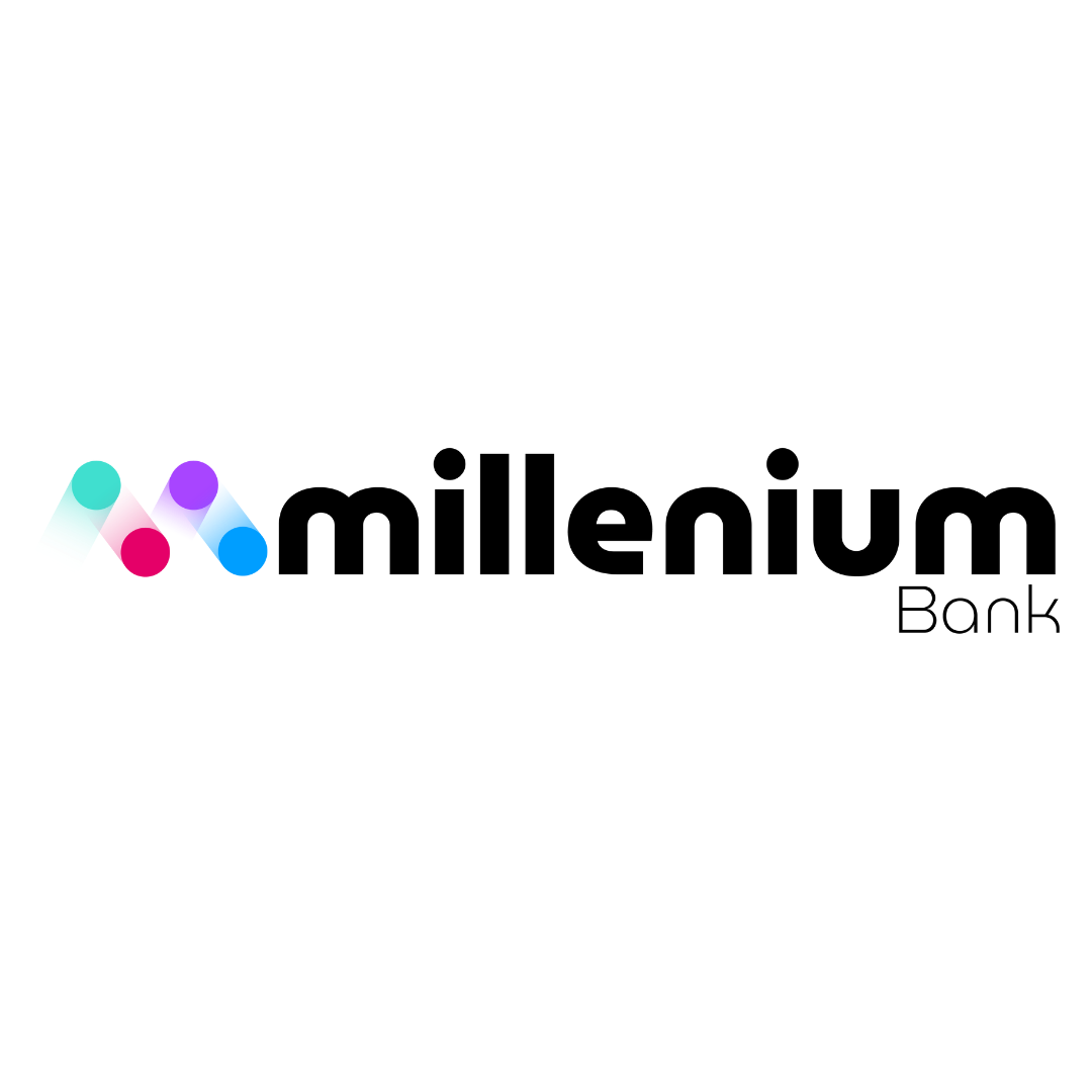 Partner 5