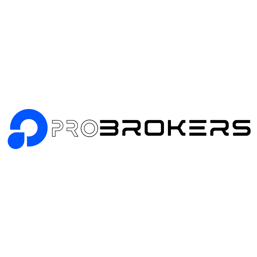 Partner 1